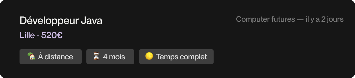 Image qui présente une mission avec des indications de TJM, de localisation et de durée.